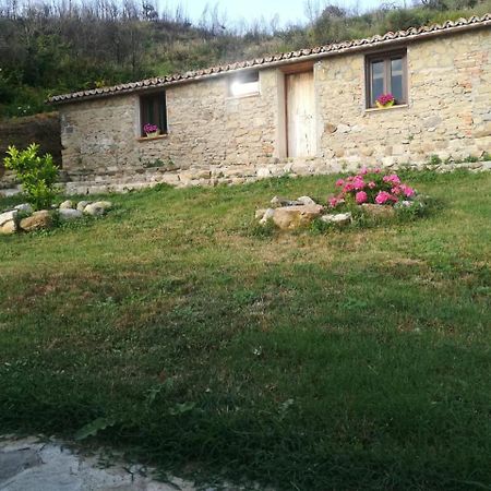 Il Cerro Agriturismo Zagarese Fuscaldo Buitenkant foto
