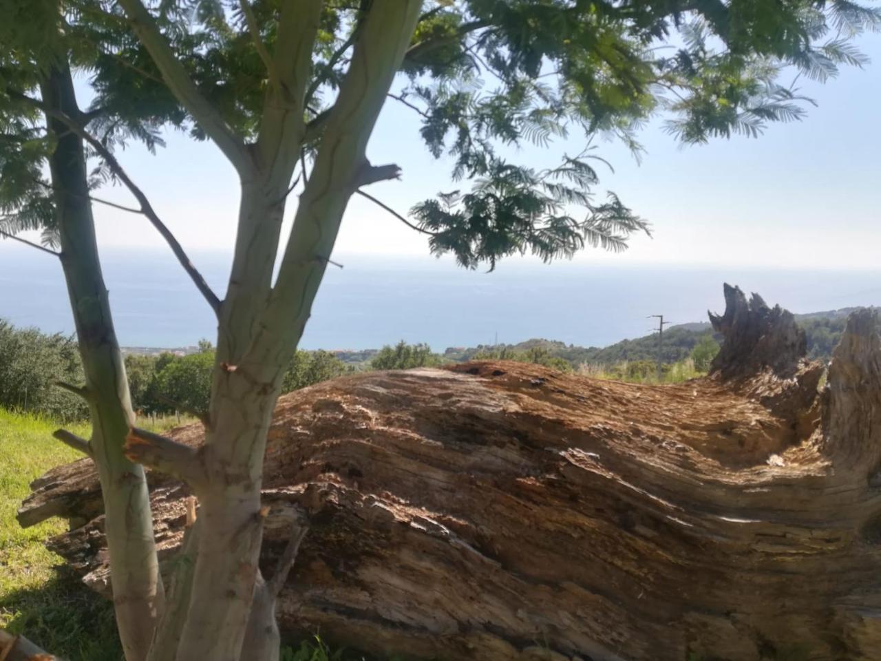 Il Cerro Agriturismo Zagarese Fuscaldo Buitenkant foto