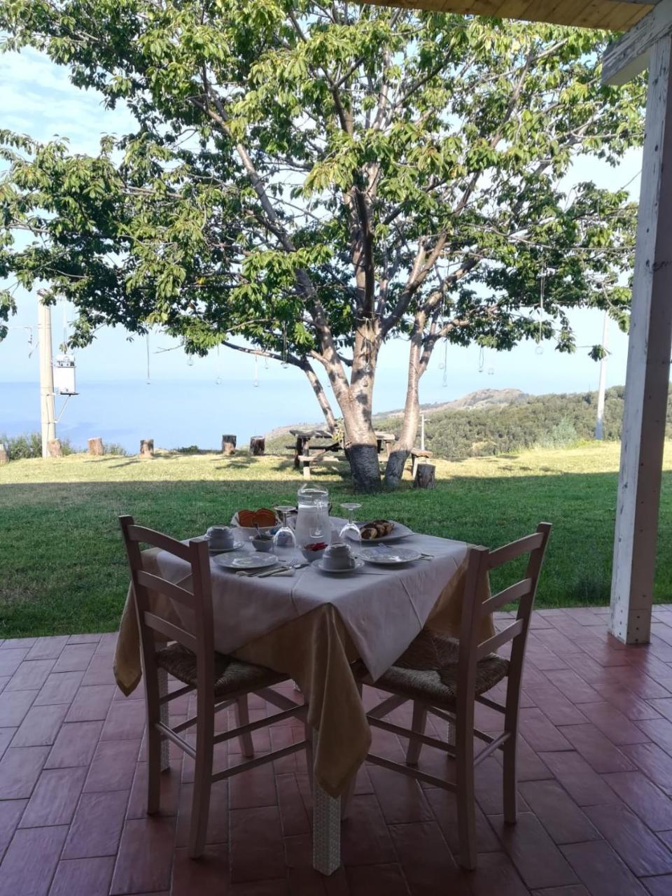 Il Cerro Agriturismo Zagarese Fuscaldo Buitenkant foto